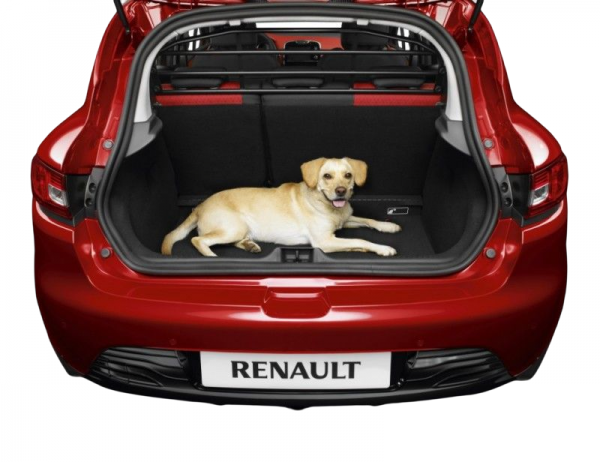 Rejilla de separación ORIGINAL RENAULT Captur II, 8201723244