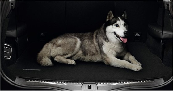 Bandeja maletero textil premium ORIGINAL RENAULT Espace V, 8201724323