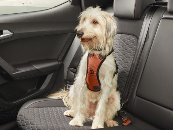 Arnés de Seguridad 'talla L' para perro ORIGINAL SEAT 000084310C