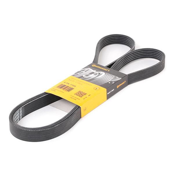Correa de distribución CONTITECH trapecial poli V 6PK1705